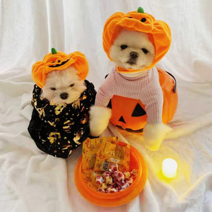 Sombrero de calabaza para mascotas, disfraz de Halloween para perros y gatos, material de terciopelo, uso en las cuatro estaciones, gorro unisex - Product Image 2