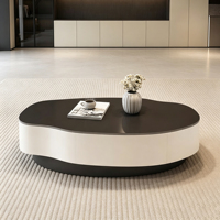 Table basse en pierre frittée, table basse irrégulière, table basse en forme de mangue, cadre doré, luxe, OEM