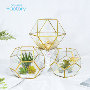 Jardinière de <span class=keywords><strong>Terrarium</strong></span> en verre géométrique noir fait à la main petit Pot de fleur pentagone pour plantes succulentes décor de table <span class=keywords><strong>Terrarium</strong></span> - Product Image 6