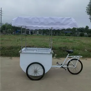 OEM-refrigerador móvil de 3 ruedas para bicicleta, dispositivo de carga para triciclos de comida