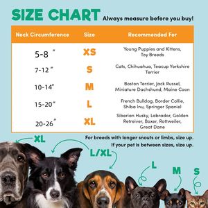 Ameliyattan sonra ayarlanabilir kadife Pet yumuşak kurtarma köpek koni yaka koruyucu şişme köpek koni için küçük orta büyük köpek kedi - Product Image 6