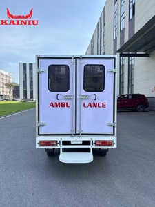 Venta Directa de Fábrica, Triciclo Ambulancia KAINIU 2025, el Más Vendido, Motocicleta de Carga de 3 Ruedas, <span class=keywords><strong>250CC</strong></span>, Motorizado, Cerrado, para 4 Pasajeros - Product Image 6