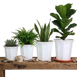 Se Aceptan Pedidos al por Mayor con Logotipo Personalizado, Proveedor Certificado W320, Macetas Apilables de Plástico Blanco para Jardinería y Viveros, para Plantas de Interior - Product Image 1