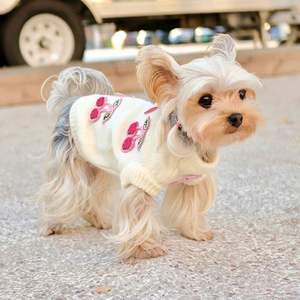 Suéter Moderno y Sencillo con Diseño de Cerezas para Perros y Gatos - para Razas Pequeñas y Medianas (Maltese, Bichón Frisé, Teddy) - Product Image 5