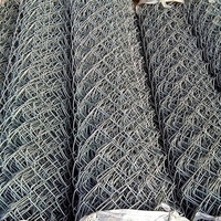 Oferta Especial: Malla de Alambre Galvanizada en Caliente, Antioxidante, de Alta Resistencia, para Cercas de Animales de Zoológico, Ganado y Vacas
