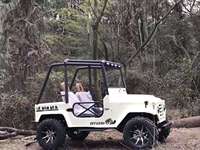 Mini Jeep ATV hybride RC 150-250HP certifié CE avec garantie de 2 ans, voiture jouet pour enfants