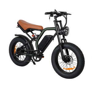 Ruihe K6 20 pulgadas 750W Fat Tire bicicleta eléctrica con Motor de cubo trasero 48V 15ah batería para mujeres viajeros nuevo diseño Ebike - Product Image 2