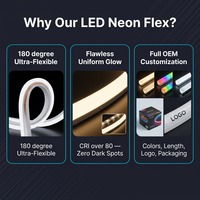 Ruban LED Néon Flexible RVB Dimmable 24V IP67 Étanche, 6x12mm SMD 2835/5050, 60 LED/m, Découpable, pour Décoration de Fêtes et de Vacances, 30000