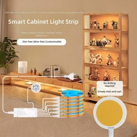 Kit de bande LED COB avec capteur de mouvement tactile intelligent, interrupteur à induction, indice de protection IP20, en cuivre, température de couleur 3 tons, intensité variable pour armoires