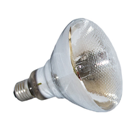 Lampe UVB UVA écologique pour reptiles, ampoule chauffante solaire pour terrarium de tortues, 80W-160W
