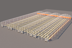 Invernadero Automatizado Europeo para Cultivo de Tomates Holandeses con Control Climático, Enrichamiento y Tecnología Hidropónica - Product Image 2