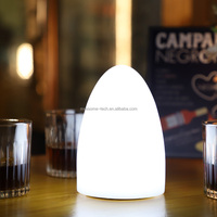 Lampe de table LED intelligente en forme d'œuf pour chambre à coucher, lumière d'ambiance LED