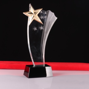 Pujiang Wholesale Optical K9 Crystal Glass Trophy 2020 Personality Customized Blank Crystal Award Trophies for Uv Printing