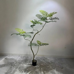Combinación de paisaje de planta de Jacaranda artificial verde interior personalizada crea un pequeño bosque natural para <span class=keywords><strong>la</strong></span> decoración del hogar - Product Image 4