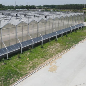 โรงเรือนเพาะปลูกแบบแผ่นพลาสติกชีวภาพขนาดใหญ่ โครงสร้างเหล็ก ควบคุมสภาพอากาศได้ เหมาะสำหรับการปลูก<span class=keywords><strong>มะเขือเทศ</strong></span>แบบไฮโดรโปนิกส์ - Product Image 6