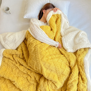 Trung Quốc Nhà Sản Xuất Mềm Lễ Hội Quà Tặng Giá Thấp 100% <span class=keywords><strong>Polyester</strong></span> OEKO-TEX Flannel Lông Cừu Chăn Cho Mùa Đông - Product Image 2