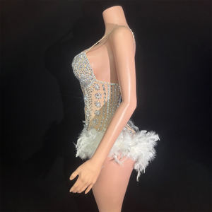 Новички Y5033, оптовая продажа, Китайский магазин, одежда со стразами и перьями для выступлений, пикантное платье на бретельках для латинских танцев - Product Image 2