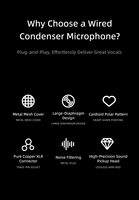 Microphone portable sans fil dynamique en plastique pour karaoké à domicile, avec récepteur de charge monocanal universel