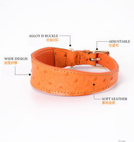 Collier de chien en cuir de vache classique de luxe pour la chasse décoré avec des rubans élégants