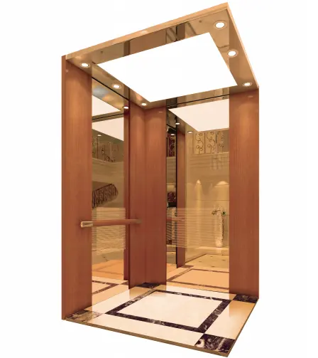 China GSE Cheapest Lift for Home lift elevator Export to Sudan