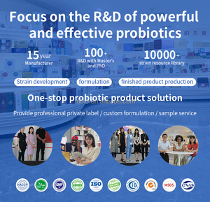 Private Label Veganistisch Spijsverteringsenzym Voedingsvezels Darmgezondheidssupplement Probiotica Poeder Met Synbiotisch Complex - Product Image 4