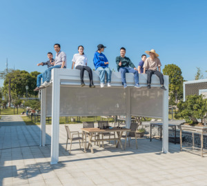 Pérgola de Aluminio con Revestimiento en Polvo, Resistente al Agua, Ecológica y a Prueba de Roedores, 3x3m, 3x4m, 4x4m, 6x4m, Modelo ZF8009P, para Jardín - Product Image 2