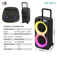 Speaker Pesta Luar Ruangan 50W 5.3 Tipe C Pengisian Daya Ganda 8 Inci dengan 2 Mikrofon Nirkabel RGB LED TWS FM USB Remote