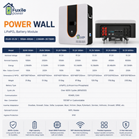 Módulo de Batería LiFePO4 POWER WALL 51.2V 100Ah 5.12kWh |   Sistema de Almacenamiento de Energía Doméstico Montado en Pared con BMS Inteligente