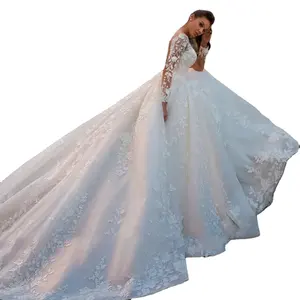 Bianco/avorio eleganti abiti da sposa 2024 illusione maniche lunghe Appliques pizzo abiti da sposa principessa Tulle senza schienale abito da sposa