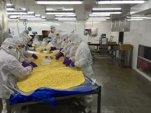 Nuovo Raccolto di Mais Dolce Surgelato IQF di Alta Qualità per Vendita all'Ingrosso e al Dettaglio - Product Image 4