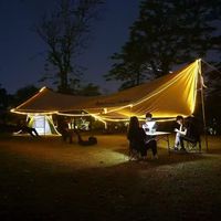 Bande lumineuse LED solaire haute efficacité 6000K lumière du jour, étanche IP65, en PVC, rechargeable, télécommandée, dimmable, garantie 3 ans, pour jardin