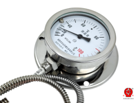 Capillary Thermometer 0-100C Rigid Stem SS304 Case 270mm Dial OEM/ODM IP66 Customizable Probe Length Class 1.5 Accuracy for