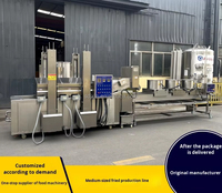 Industriële Automatische Frites Maken Machine Bananenchips Frituren Productielijn