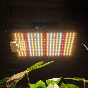 แผงไฟ LED ควอนตัมแบบ Full Spectrum สำหรับปลูกพืชในร่ม พร้อมชิป LM301H EVO สำหรับระบบปลูกพืชแบบไฮโดรโปนิกส์ - Product Image 6