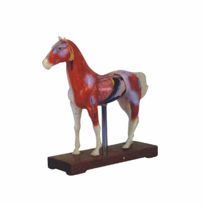 Gelsonlab HSBM-400 बिल्ली एक्यूपंक्चर मॉडल - Product Image 4