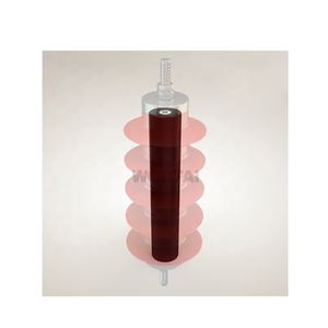 Ratio High Voltage <strong>Lightning</strong> <strong>Arrester</strong> <strong>Thunder</strong> <strong>Arrester</strong> Core Du Lin Dun Lamp Pith Power Distribution Equipment From China - Product Image 2