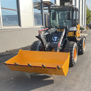 لودر صغير قابل للتخصيص بعجلات انزلاقية من 1.5 إلى 4.5 طن مع خيارات متعددة للأدوات الإضافية - Product Image 1