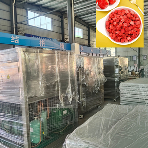 เครื่องอบแห้งแบบแช่เยือกแข็งสำหรับอุตสาหกรรม 200 กก. หน้าจอสัมผัส สำหรับสารสกัดจากกาแฟและสมุนไพร - Product Image 3