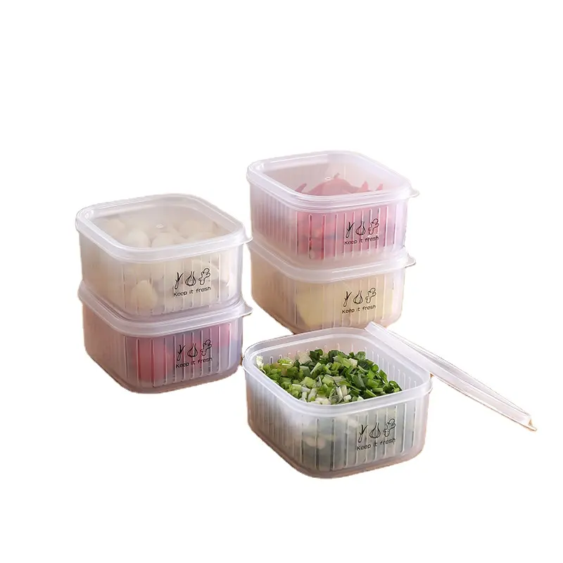 홈 주방 도구 투명 양파 생강 마늘 냉장고 보관 상자 식품 보관 플라스틱 과일 야채 냉장고 홀더