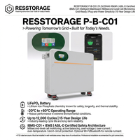 Batterie de stockage d'énergie solaire séparée 16 kWh LiFePO4 51,2 V avec communication réseau hybride pour onduleur et alimentation de secours