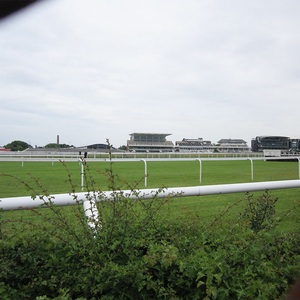 Çiftlik veya bahçe dış mekan kullanımı için plastik Post ve Gate ile beyaz vinil at çit kazık çit paneller - Product Image 6