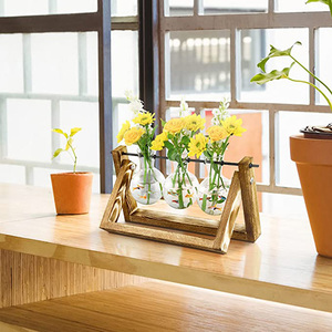 Hot Sale Air Plants Water Holder Propogation Planters Glass Plant Terrarium With Wooden <b>Stand</b> for Garden Lovers Gift Idea - Product Image 4