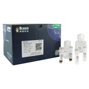 Beaverbeads-Kit de extracción de ácido nucleico, para Saliva - Product Image 1