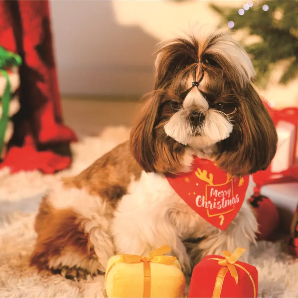 Grosir Natal Bandana Anjing Peliharaan Pakaian Kostum Pribadi Syal Kepala Anjing Dasi Kupu-kupu Kerah Bandana