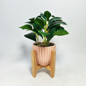 <span class=keywords><strong>Maceta</strong></span> de cerámica para jardín urbano, <span class=keywords><strong>maceta</strong></span> con soporte de <span class=keywords><strong>madera</strong></span> hecha a mano, nuevos diseños - Product Image 2