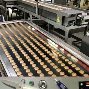 Bande transporteuse en acier à haute teneur en carbone <span class=keywords><strong>GOODDAY</strong></span> pour four tunnel de boulangerie - Résistante à la chaleur, durable, vitesse réglable - Product Image 6