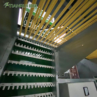 Cages pour poules pondeuses de ferme avicole, fabriquées par TIANRUI