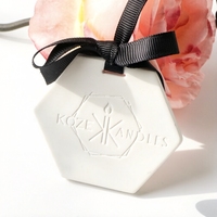 Diffuseur de parfum pour voiture, pendentif suspendu, aromathérapie, gypse, huile essentielle, pierre aromatique en céramique parfumée