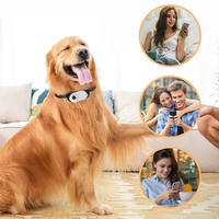 2025 OEM 1080P Mini caméra d'action Vision nocturne 1080P écran couleur collier de chat pour animaux de compagnie WIFI sans fil 128 Go pour les enregistrements vidéo