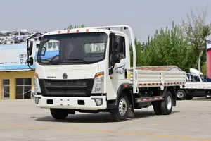 Used Truck SINOTRUK Brand Howo 6t Chinese Sino Light Commercial Vehicle Truck Cargo Truck Deposit Shipment